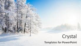  Presentation with snow blizzard in winter - Audience pleasing theme consisting of winter park in snow backdrop and a sky blue colored foreground