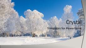  Presentation with winter forest - PPT layouts consisting of winter park in snow background and a light blue colored foreground