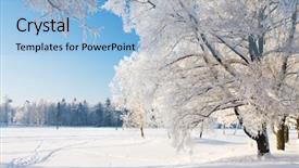  Presentation with forest winter - Presentation with winter park in snow background and a light blue colored foreground
