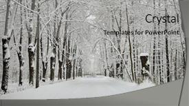  Presentation with wide - Theme enhanced with lattice gate in the end background and a light gray colored foreground