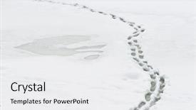  Presentation with shining - Slides having winter path with human steps on shining snow background and a white colored foreground