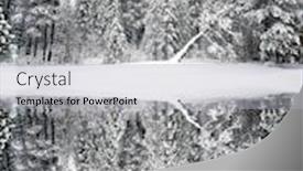  Presentation with pine trees - Amazing PPT theme having winter-pine-trees-frozen-forest backdrop and a light gray colored foreground