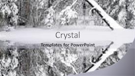  Presentation with cold water - Slides featuring winter-pine-trees-frozen-forest background and a light gray colored foreground