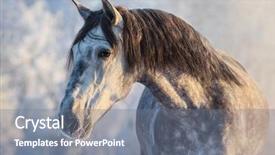  Presentation with spanish - Amazing presentation theme having winter portrait of spanish gray backdrop and a gray colored foreground