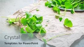  Presentation with lettuce - PPT layouts consisting of winter-purslane-indian-lettuce-healthy background and a  colored foreground