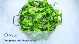  Presentation with lettuce - Presentation theme having winter-purslane-indian-lettuce-healthy background and a  colored foreground