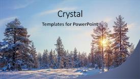  Presentation with forest winter - Beautiful presentation theme featuring winter real golden sundown - northern backdrop and a light blue colored foreground