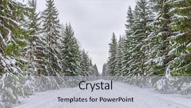  Presentation with forest road - Slide set featuring winter road through spruce tree background and a light gray colored foreground