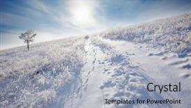  Presentation with sun - PPT theme enhanced with gorgeous woman with flower tucked behind her ear background and a lemonade colored foreground