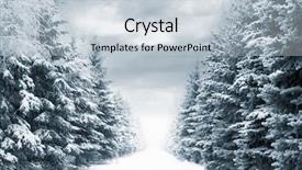  Presentation with winter evergreen forest - Audience pleasing theme consisting of winter road with blue evergreen backdrop and a lemonade colored foreground