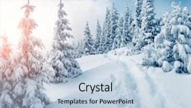  Presentation with tree sky trees green - Slides enhanced with winter scene - fabulous frozen fir trees frosty background and a light blue colored foreground