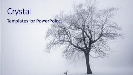  Presentation with joshua tree national park - Presentation design with winter scene of leafless tree background and a sky blue colored foreground