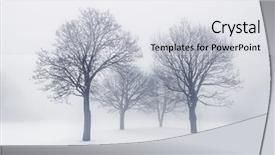 Presentation with winter scene - Colorful presentation enhanced with her boyfriend to the beach backdrop and a coral colored foreground