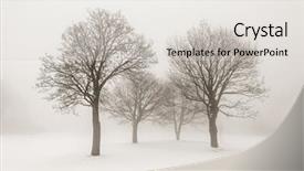  Presentation with winter and trees - Slide set with winter scene of leafless trees background and a light gray colored foreground