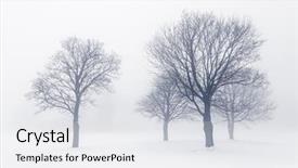  Presentation with winter scene - Slides enhanced with winter scene of leafless trees background and a white colored foreground