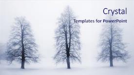  Presentation with winter scene - Beautiful slide deck featuring winter scene with leafless tree backdrop and a sky blue colored foreground