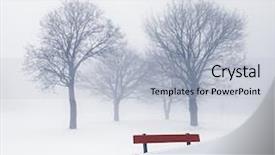  Presentation with winter scene - Amazing PPT theme having winter scene with leafless tree backdrop and a light gray colored foreground