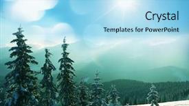  Presentation with winter scene - PPT theme consisting of winter scene background and a light blue colored foreground