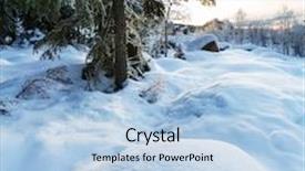  Presentation with winter scene - PPT layouts with winter scene background and a light blue colored foreground