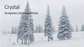  Presentation with winter scene - PPT theme with winter scene background and a light gray colored foreground