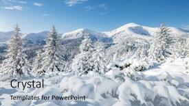  Presentation with grey black white brick - Slide deck having winter snow - great white spruces glowing background and a light blue colored foreground