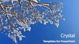  Presentation with winter blue - Audience pleasing slides consisting of winter snow branches of tree backdrop and a teal colored foreground