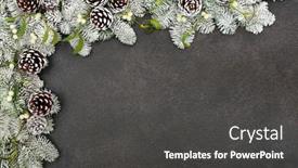  Presentation with festive - Beautiful theme featuring winter-snow-covered-spruce-fir backdrop and a dark gray colored foreground