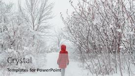  Presentation with winter weather - PPT theme with winter-snowstorm-snow-covered-trees background and a light gray colored foreground