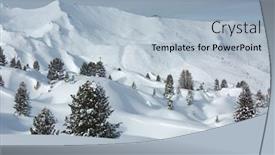  Presentation with winter and trees - Slide set having winter snowy landscape with trees background and a light blue colored foreground
