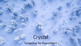  Presentation with summer winter autumn spring - Audience pleasing theme consisting of winter snowy spruce forest high backdrop and a light blue colored foreground