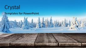  Presentation with winter forest - Cool new PPT theme with winter snowy spruce tree forest backdrop and a teal colored foreground