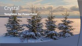  Presentation with spruce - Slide deck consisting of winter-spruce-trees-at-dusk background and a coral colored foreground