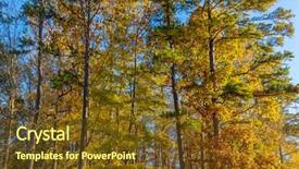  Presentation with fall leaves border - Amazing PPT theme having leaves against a cloudy blue backdrop and a tawny brown colored foreground