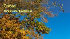  Presentation with fall leaves - Beautiful presentation theme featuring leaves against a cloudy blue backdrop and a tawny brown colored foreground