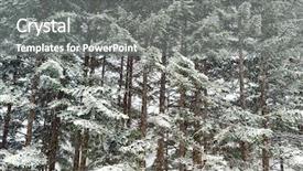  Presentation with winter taiga - Audience pleasing presentation theme consisting of winter taiga forest under snowfall wallpaper background backdrop and a gray colored foreground