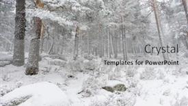  Presentation with travel madrid - Cool new PPT theme with winter travel beautiful landscape of snowy pines with fog port of navacerrada in madrid spain backdrop and a light gray colored foreground