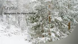  Presentation with travel madrid - Colorful slides enhanced with winter travel beautiful landscape of snowy pines with fog port of navacerrada in madrid spain port of navacerrada in madrid spain port of navacerrada in madrid spain backdrop and a light gray colored foreground