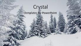  Presentation with ukraine - Slide deck having winter tree - frosty and sunny day is background and a light gray colored foreground