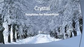  Presentation with winter wonderland - Audience pleasing theme consisting of winter tree alley backdrop and a seafoam green colored foreground