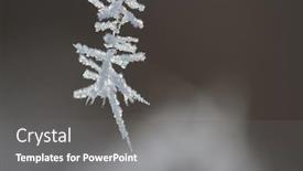  Presentation with winter ice - Slides featuring winter-tree-branches-ice-spikes background and a  colored foreground