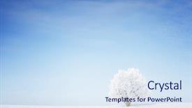  Presentation with winter blue - Slide set having winter tree in a field background and a sky blue colored foreground