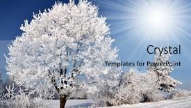  Presentation with czech republic - Beautiful PPT layouts featuring winter tree in czech republic backdrop and a light blue colored foreground