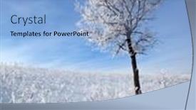  Presentation with snow tree - Cool new presentation theme with winter tree on snow backdrop and a teal colored foreground