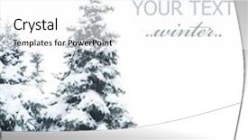  Presentation with winter border - Amazing presentation having winter trees border isolated backdrop and a white colored foreground