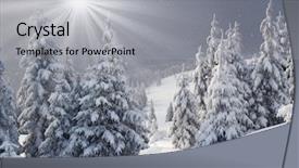  Presentation with snow tree - PPT layouts consisting of winter trees in mountains covered background and a light gray colored foreground