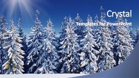  Presentation with trees - Audience pleasing theme consisting of winter trees in mountains covered backdrop and a ocean colored foreground