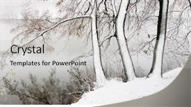  Presentation with winter and trees - Presentation theme featuring winter trees on the lake background and a light gray colored foreground