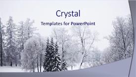  Presentation with black and white trees - Colorful PPT layouts enhanced with winter trees on snow white backdrop and a sky blue colored foreground