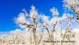  Presentation with utah - PPT theme featuring winter trees utah usa background and a lemonade colored foreground