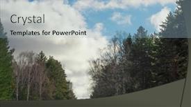  Presentation with pine trees - PPT layouts featuring winter-vacation-background-with-pine background and a light blue colored foreground